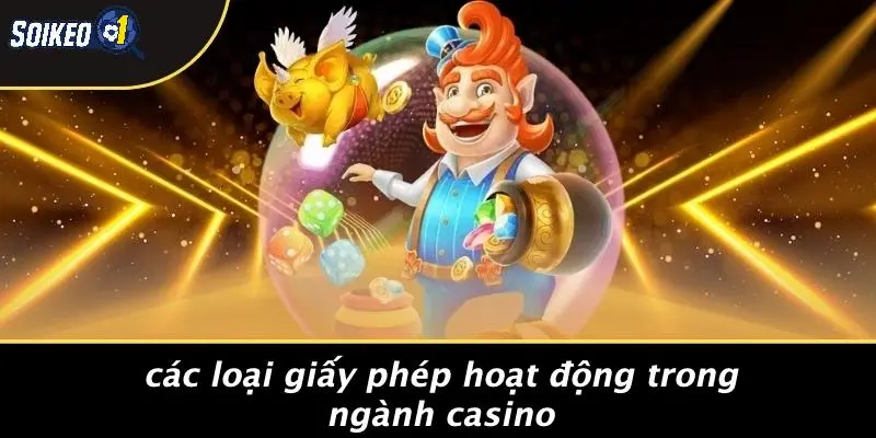 Các Loại Giấy Phép Hoạt Động Trong Ngành Casino