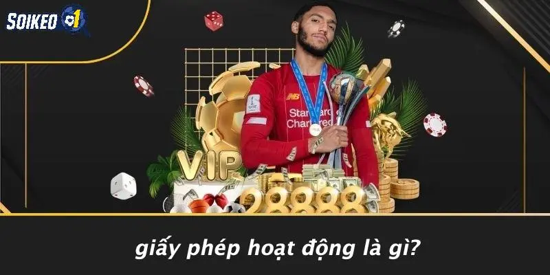Giấy Phép Hoạt Động Là Gì?
