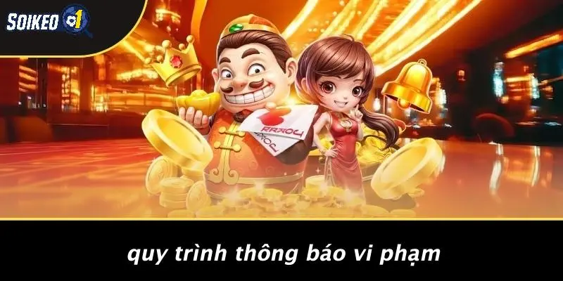 Quy Trình Thông Báo Vi Phạm