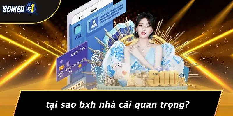 Tại Sao BXH Nhà Cái Quan Trọng?
