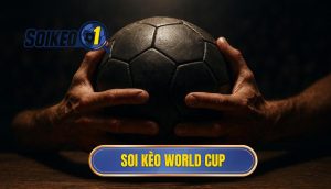 thumb - soi kèo world cup