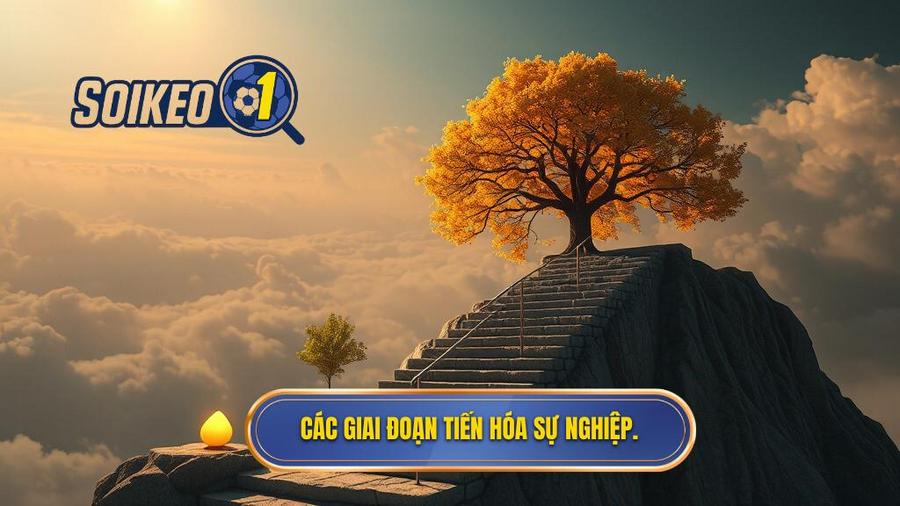 Sự tiến hóa qua từng giai đoạn sự nghiệp
