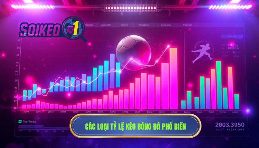 Các loại tỷ lệ kèo phổ biến và cách đọc chi tiết