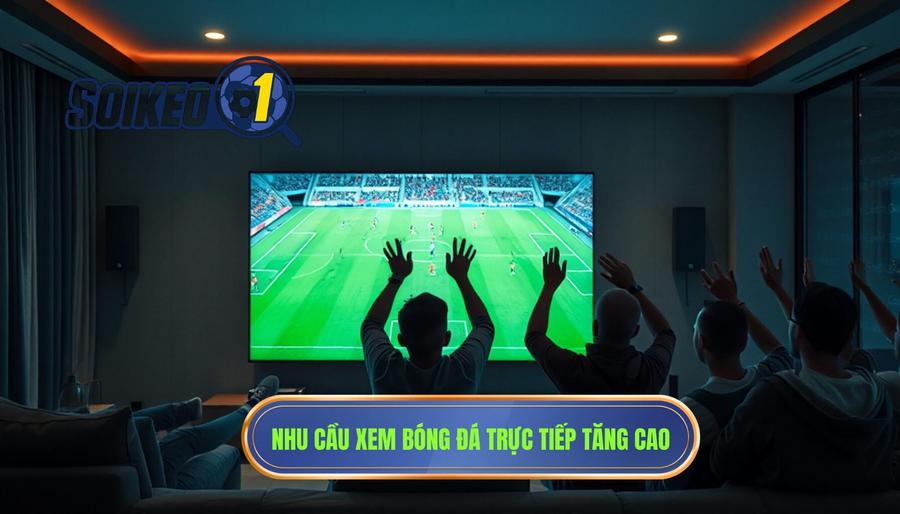 Tại sao nhu cầu tìm kiếm Link xem bóng đá trực tiếp hôm nay lại tăng cao?