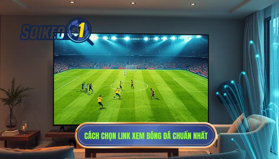 Cách chọn Link xem bóng đá trực tiếp hôm nay để có trải nghiệm tốt nhất