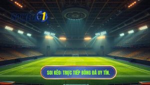 trực tiếp bóng đá Việt Nam hôm nay